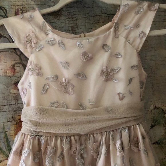 Sz 8 Jenny & Me Embroidered Floral Champagne Dress Flower Girl First Communion - Picture 4 of 15